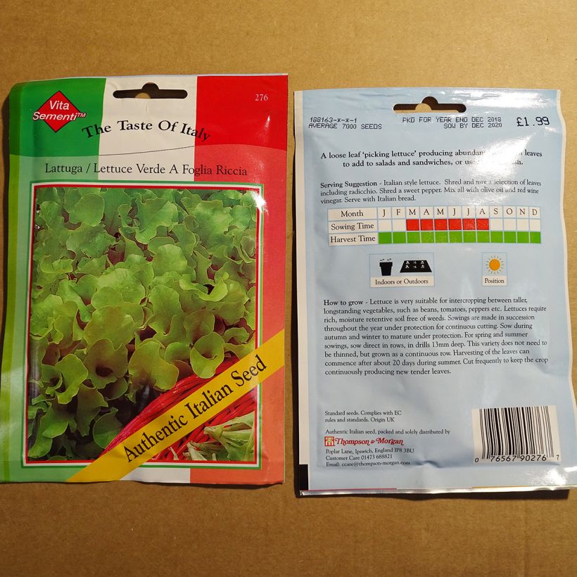 Example of Lettuce Riccia Verde da Taglio - Lactuca sativa specimen as delivered