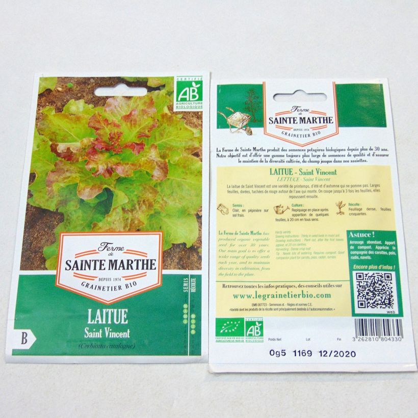 Example of Loose leaf Lettuce Saint Vincent - Ferme de Sainte Marthe seeds specimen as delivered
