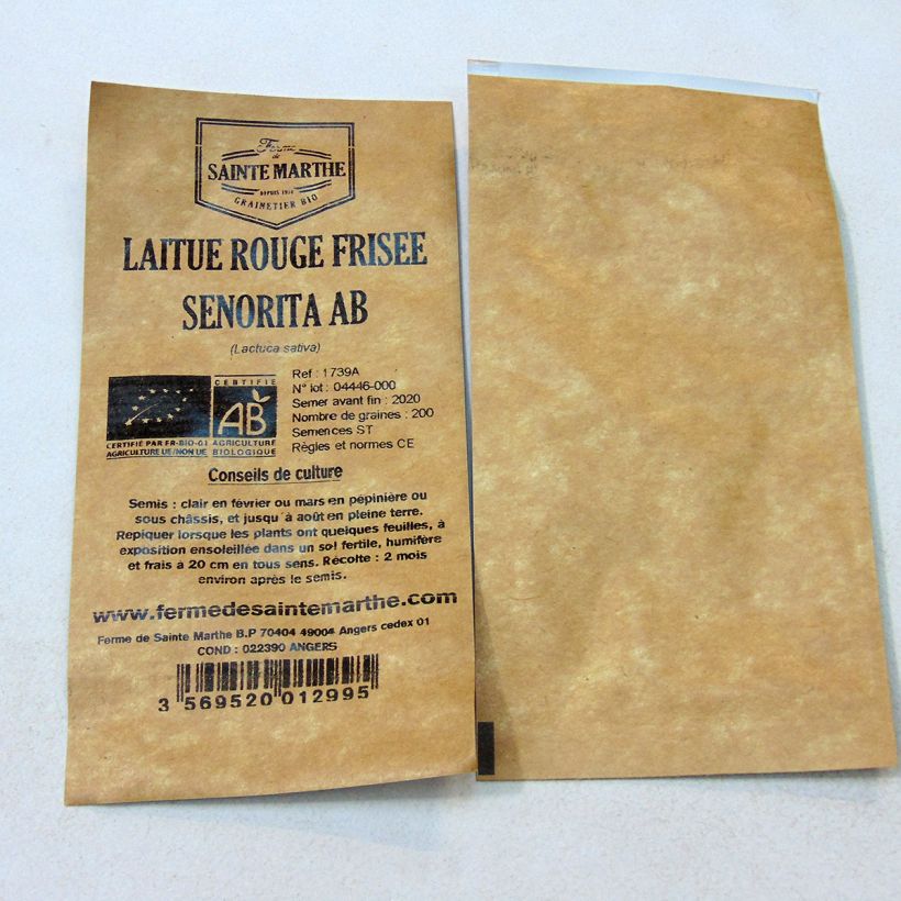 Example of Loose leaf Lettuce Senorita - Ferme de Sainte Marthe seeds specimen as delivered