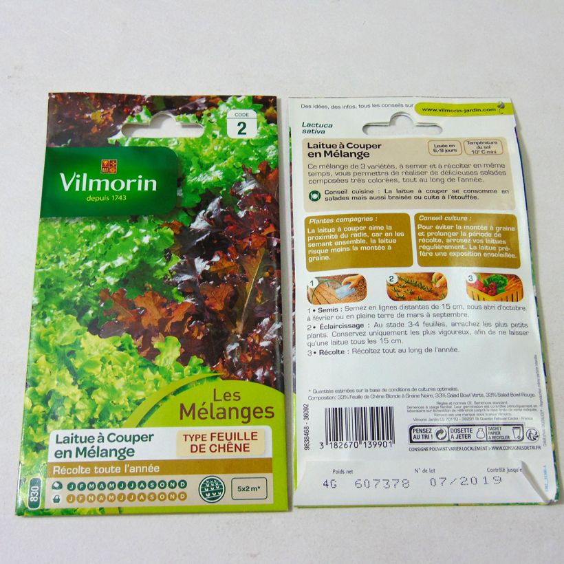 Example of Loose leaf Lettuce mix - Green and Red Salad Bowl - Vilmorin seeds specimen as delivered