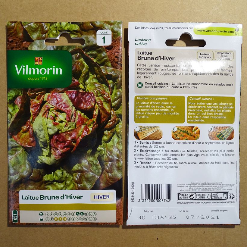 Example of Winter Lettuce Brune dHiver - Vilmorin seeds specimen as delivered