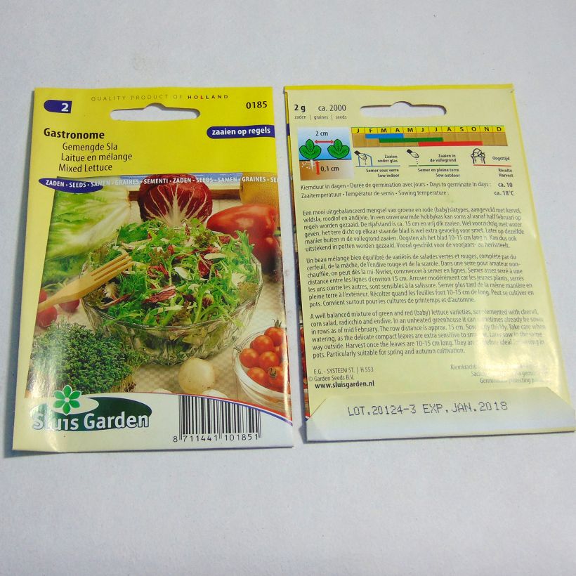 Example of Lettuce Gourmet mix - Lactuca sativa specimen as delivered