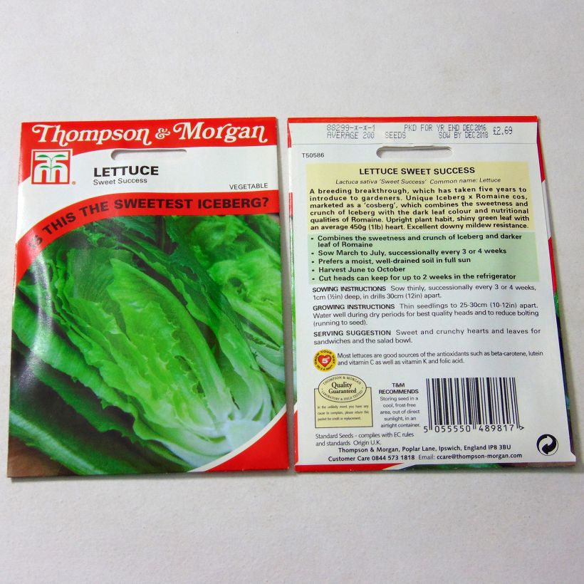 Example of Sweet Success hybrid lettuce specimen as delivered