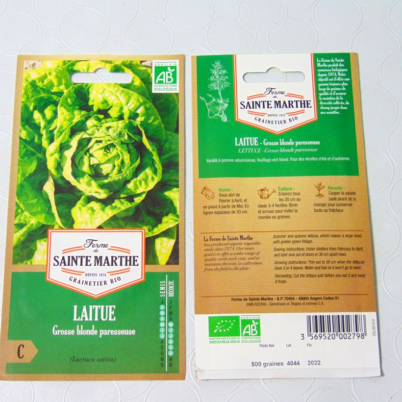 Example of Butterhead Lettuce Fat Lazy Blonde - Ferme de Sainte Marthe seeds specimen as delivered
