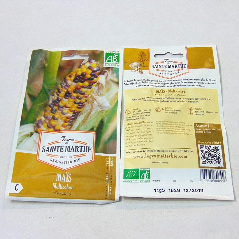 Example of Organic Multicoloured Maize - Ferme de Sainte Marthe seeds seeds specimen as delivered