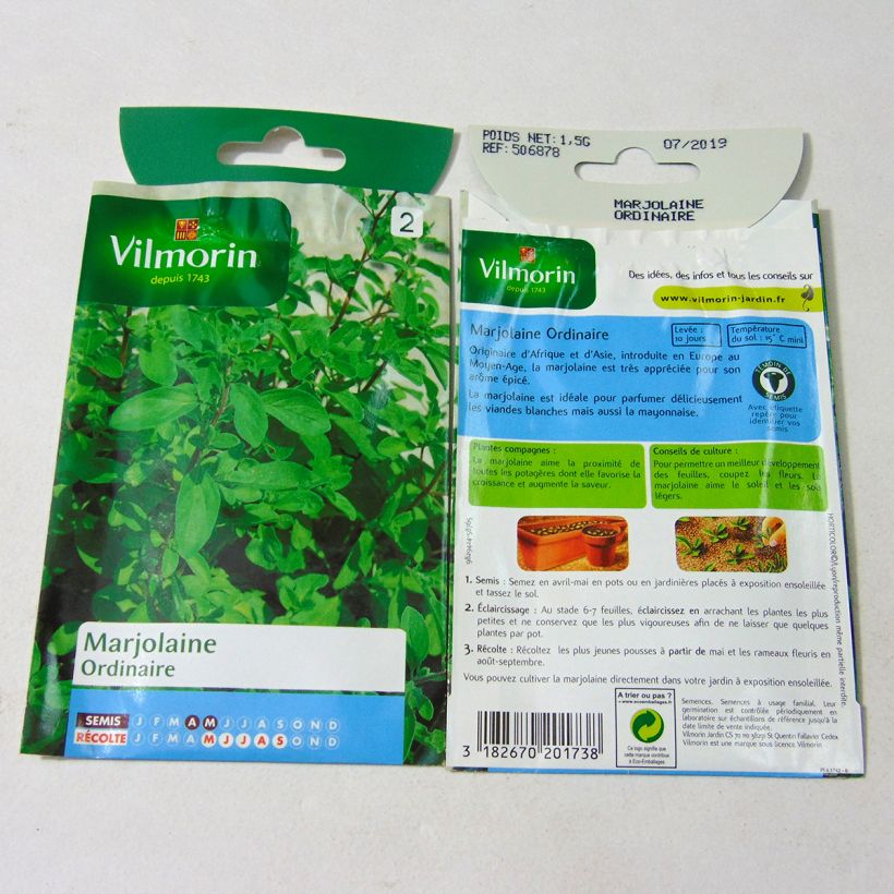 Example of Common Marjoram - Vilmorin seeds seeds specimen as delivered