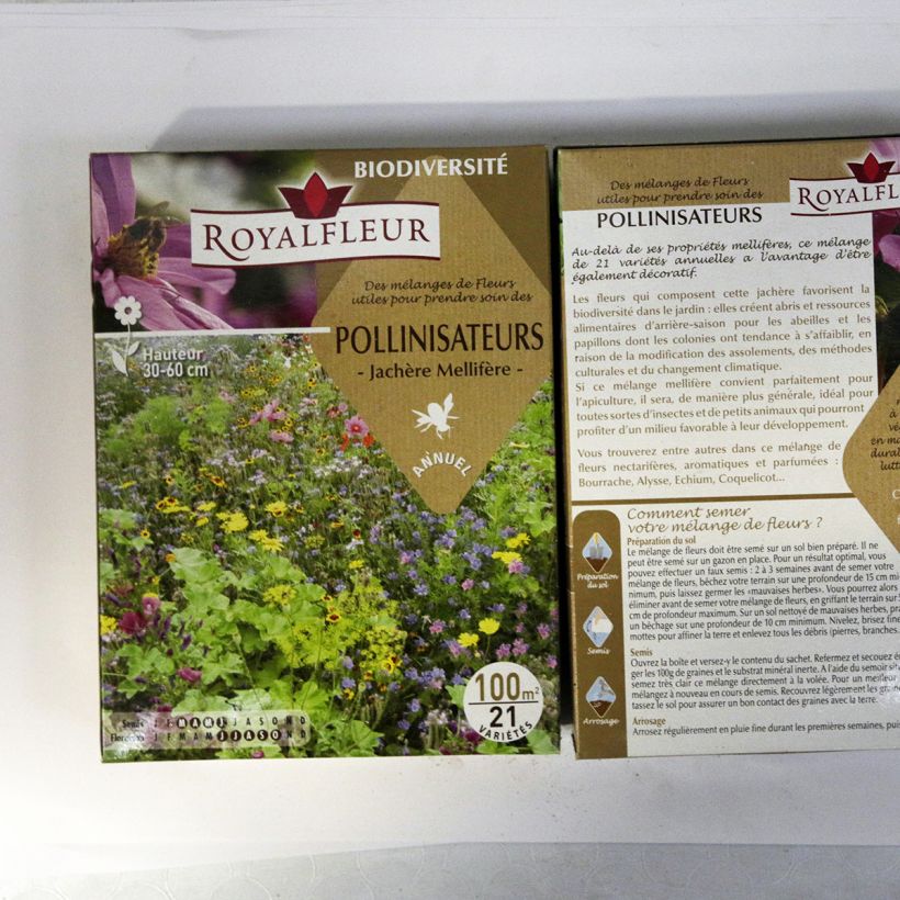 Example of Mix to attract pollinators - Box for 100m2. specimen as delivered
