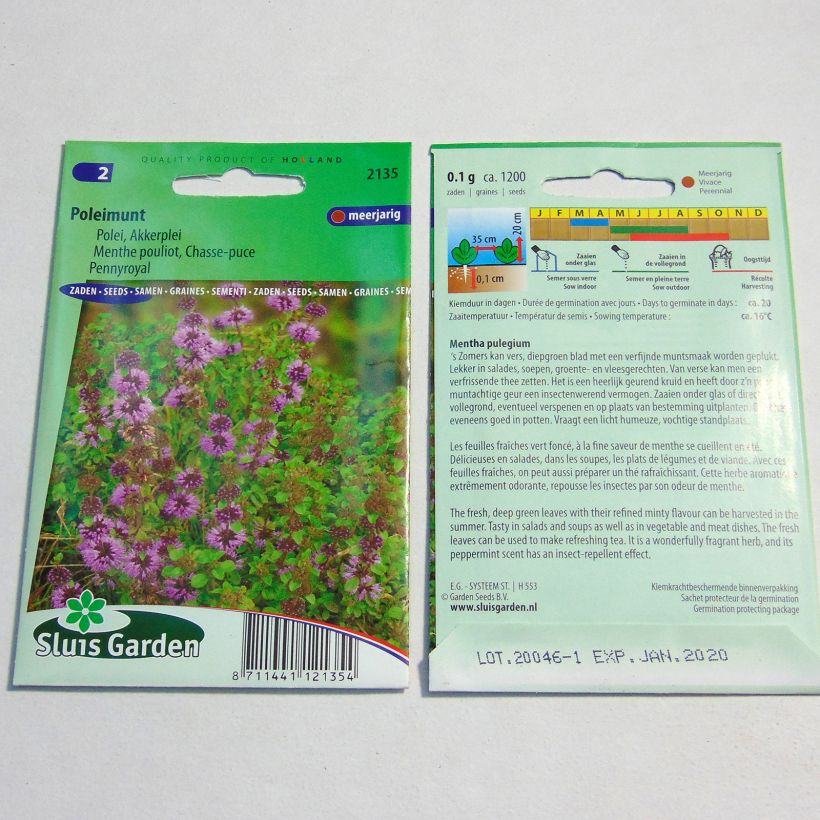 Example of Mentha pulegium seeds specimen as delivered