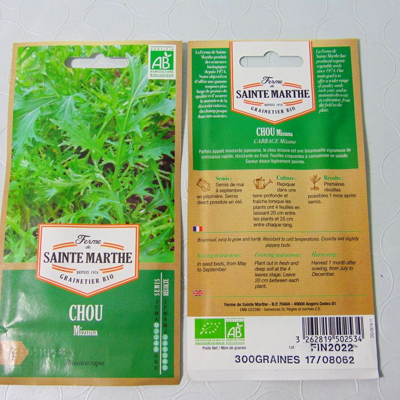 Example of Mizuna Cabbage - Ferme de Sainte Marthe Seeds specimen as delivered