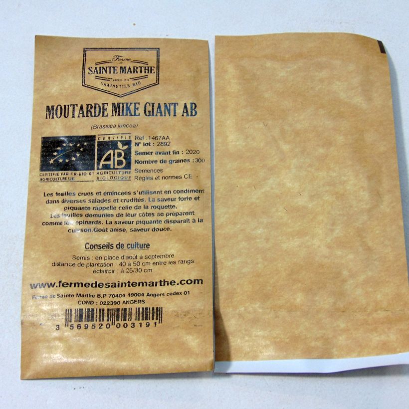 Example of Organic Mike Giant Mustard seeds - Ferme de Sainte Marthe seeds specimen as delivered