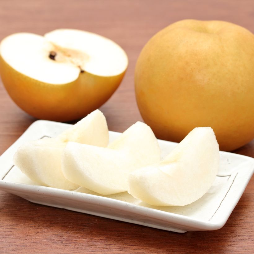 Nashi Niitaka - Apple-Pear (Harvest)