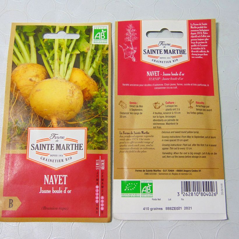 Example of Turnip Golden Ball - Ferme de Sainte Marthe Seeds specimen as delivered