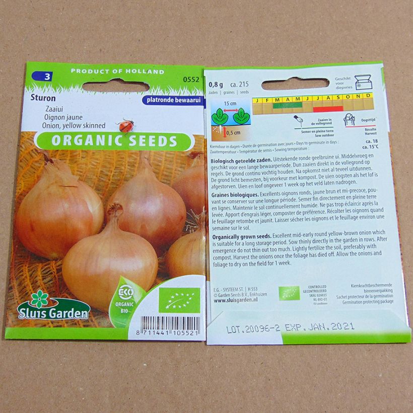 Example of Onion Sturon specimen as delivered