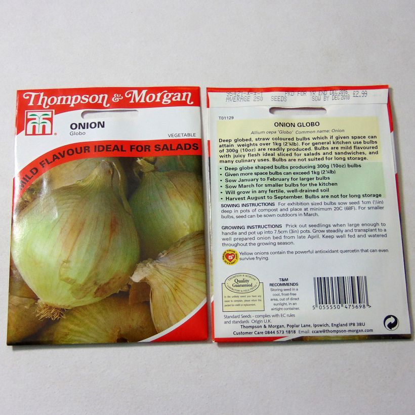 Example of Onion Yellow Globe - Allium cepa seeds specimen as delivered