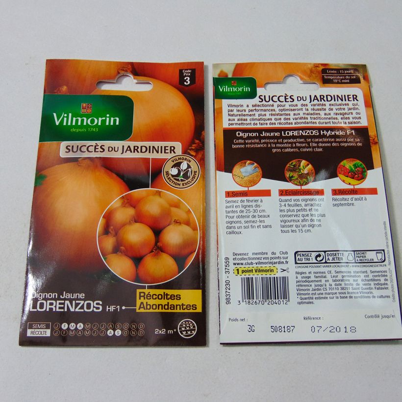 Example of Yellow Onion Lorenzos - Vilmorin seeds - Allium cepa specimen as delivered