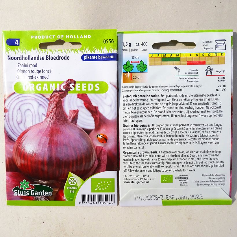 Example of Organic Noordhollandse Bloedrode Red Onion - Allium cepa specimen as delivered
