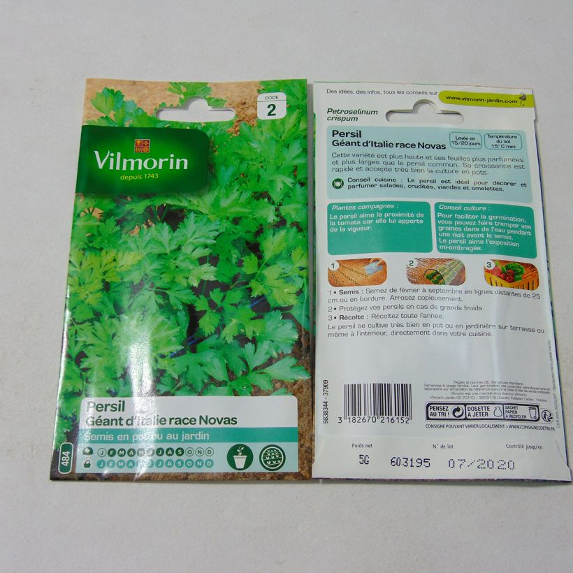 Example of Parsley Giant of Italy Novas - Vilmorin Seeds specimen as delivered