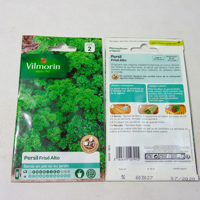 Example of Curly Parsley Alto - Vilmorin Seeds specimen as delivered