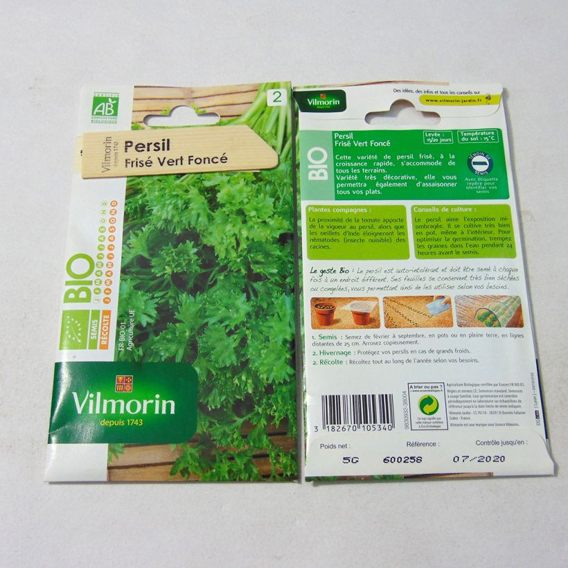Example of Curly Parsley Organic  - Vilmorin Seeds specimen as delivered