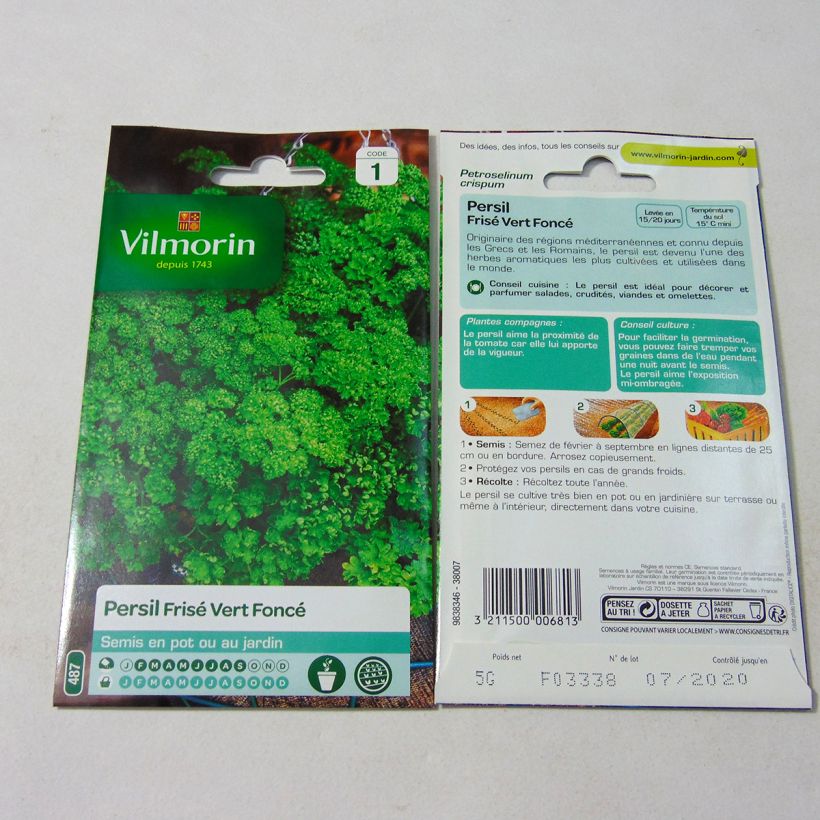Example of Curly Parsley - Vilmorin Seeds specimen as delivered