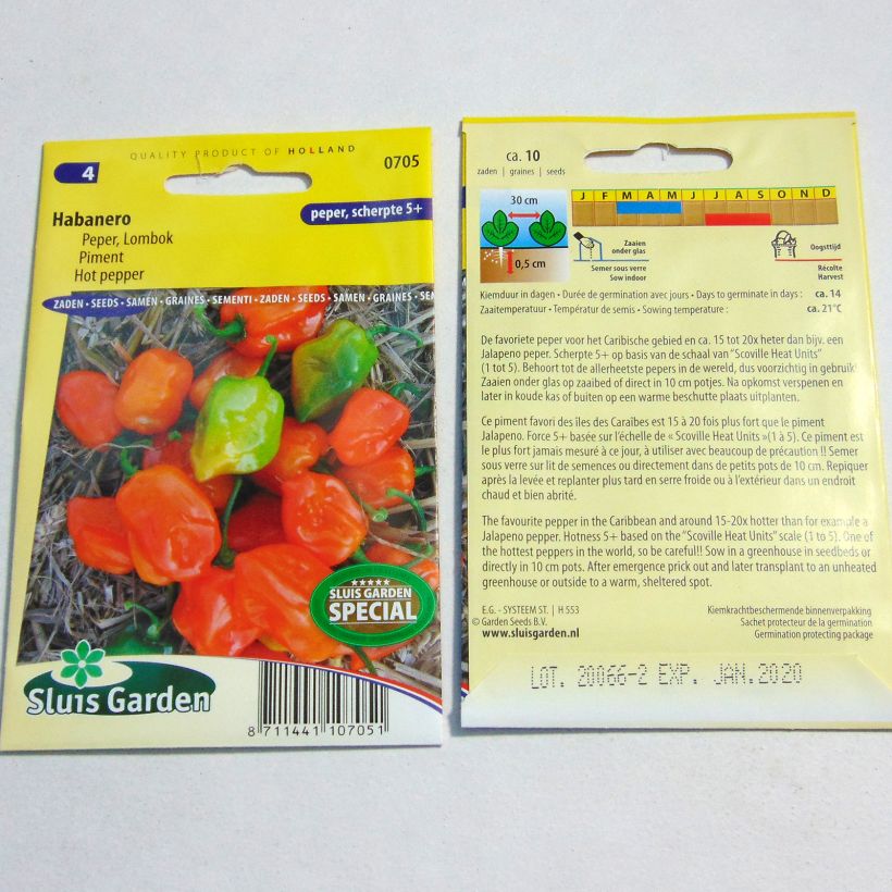 Example of Chilli Pepper Habanero specimen as delivered