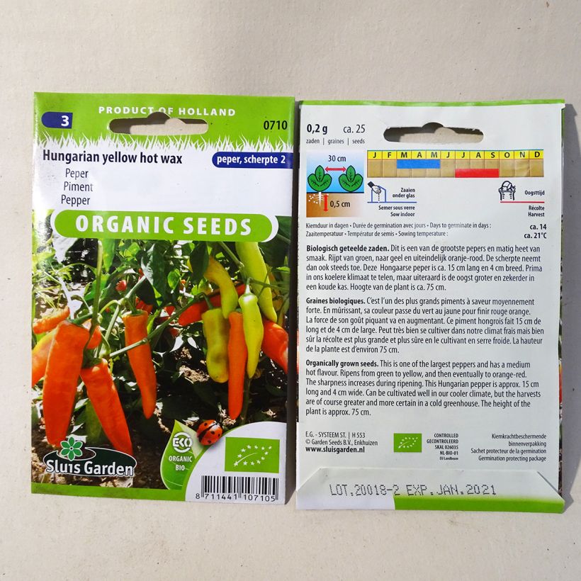 Example of Chilli Pepper Hungarian Hot Wax Organic specimen as delivered