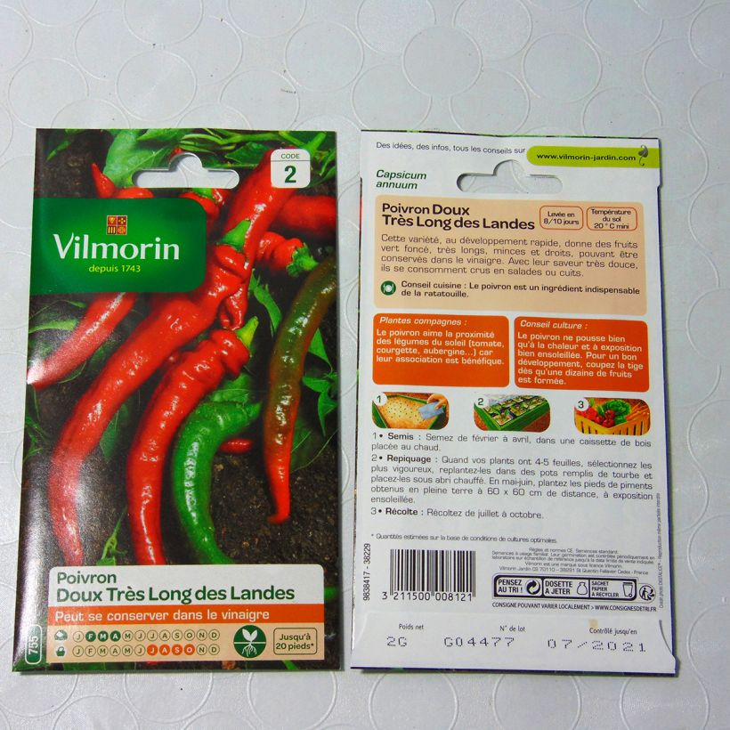 Example of Sweet Basil - Large Leaf Italian Basil Vilmorin Seeds specimen as delivered