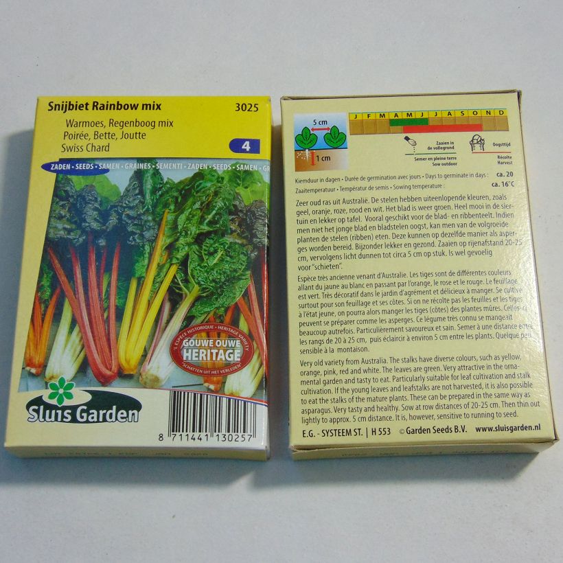 Example of Swiss Chard Rainbow Mix specimen as delivered