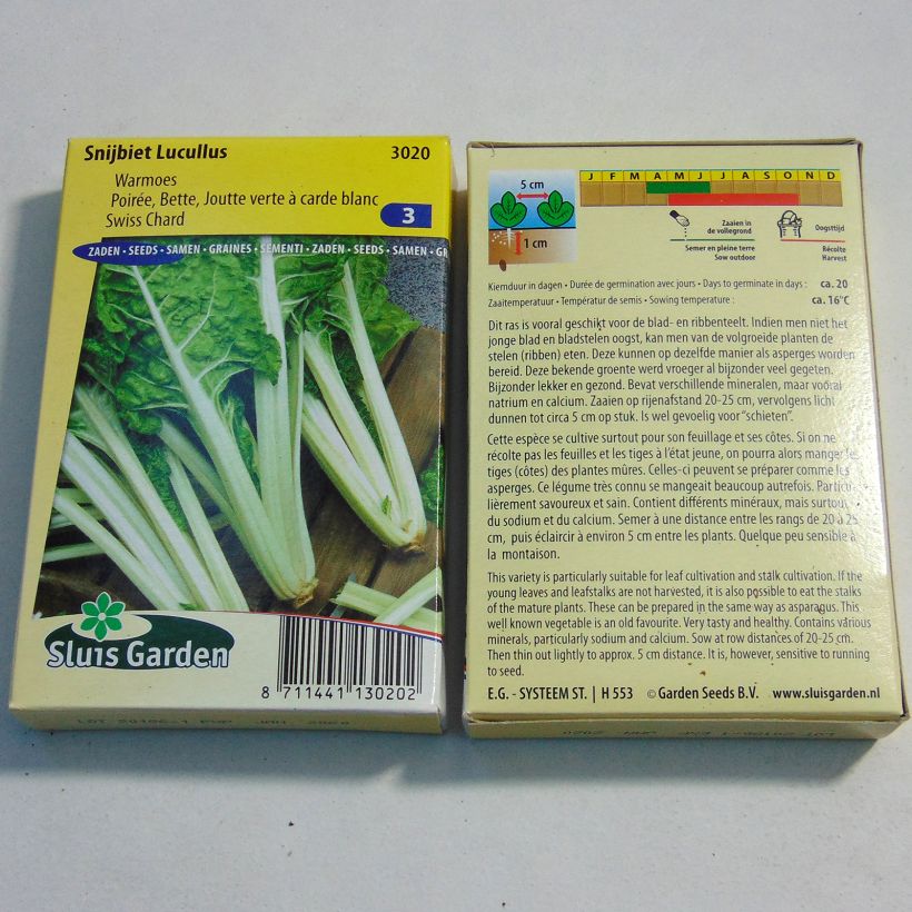 Example of Swiss Chard Lucullus specimen as delivered