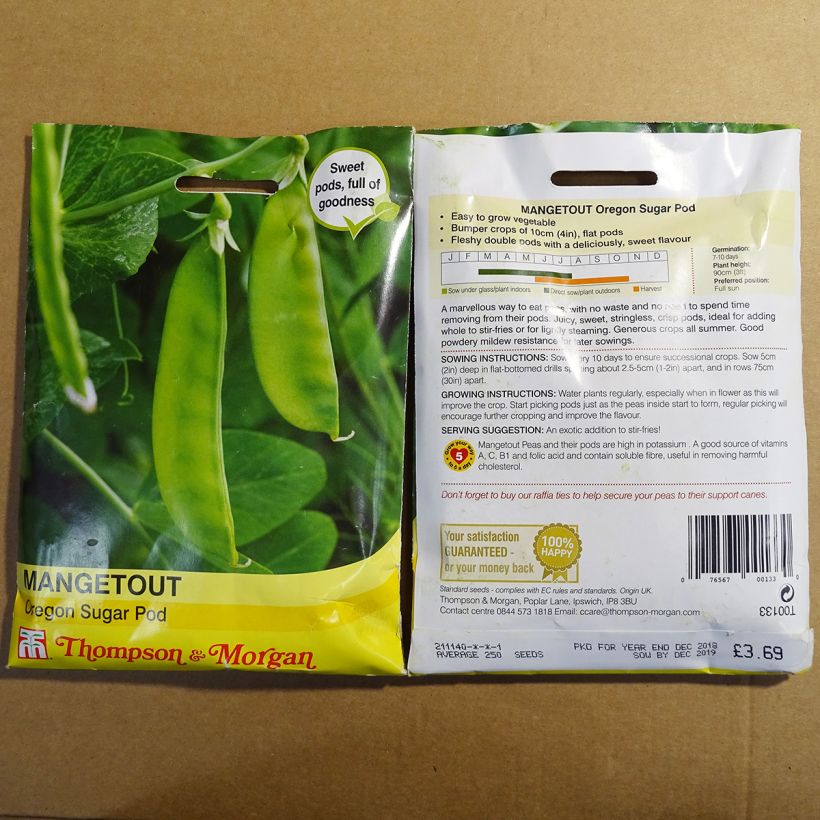 Example of Oregon Sugar Pod semi-climbing mangetout peas specimen as delivered