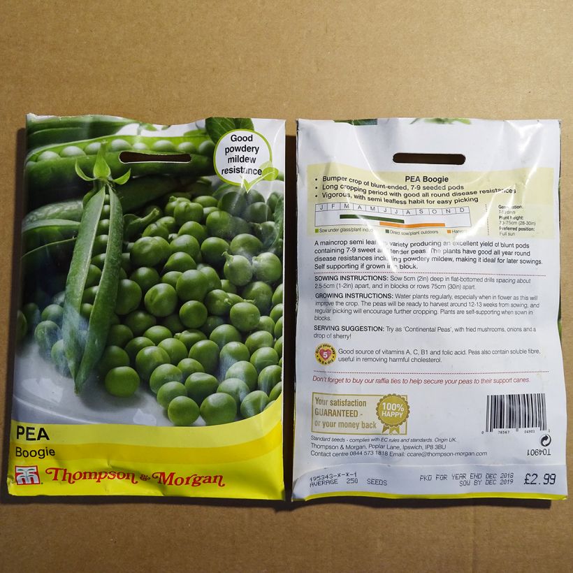 Example of Boogie Dwarf Pea specimen as delivered