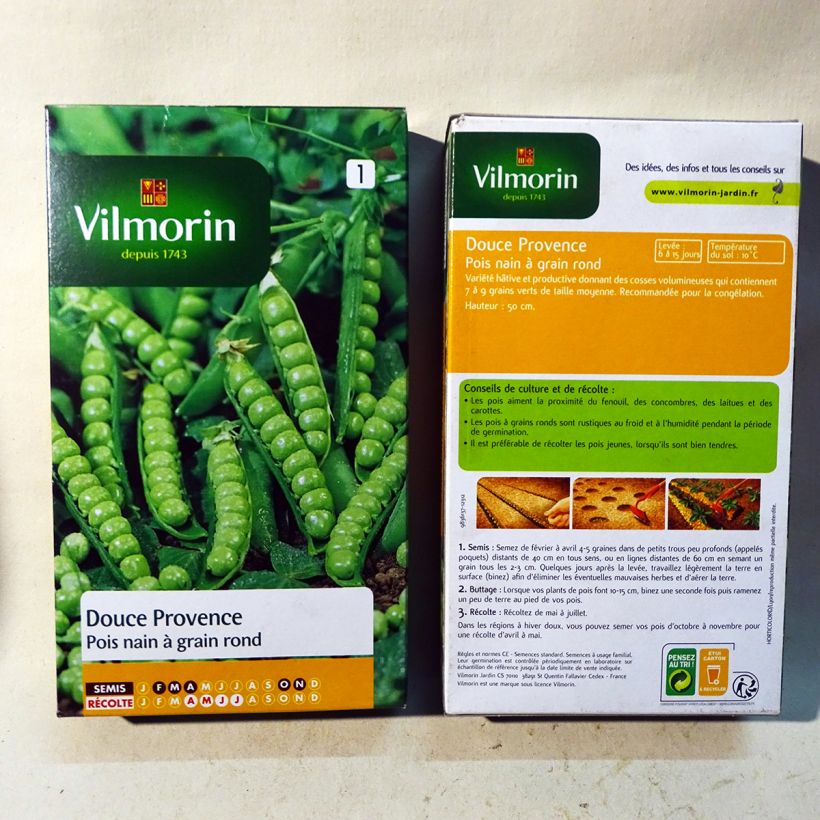 Example of Dwarf Pea Douce Provence with round grain - Vilmorin seeds specimen as delivered