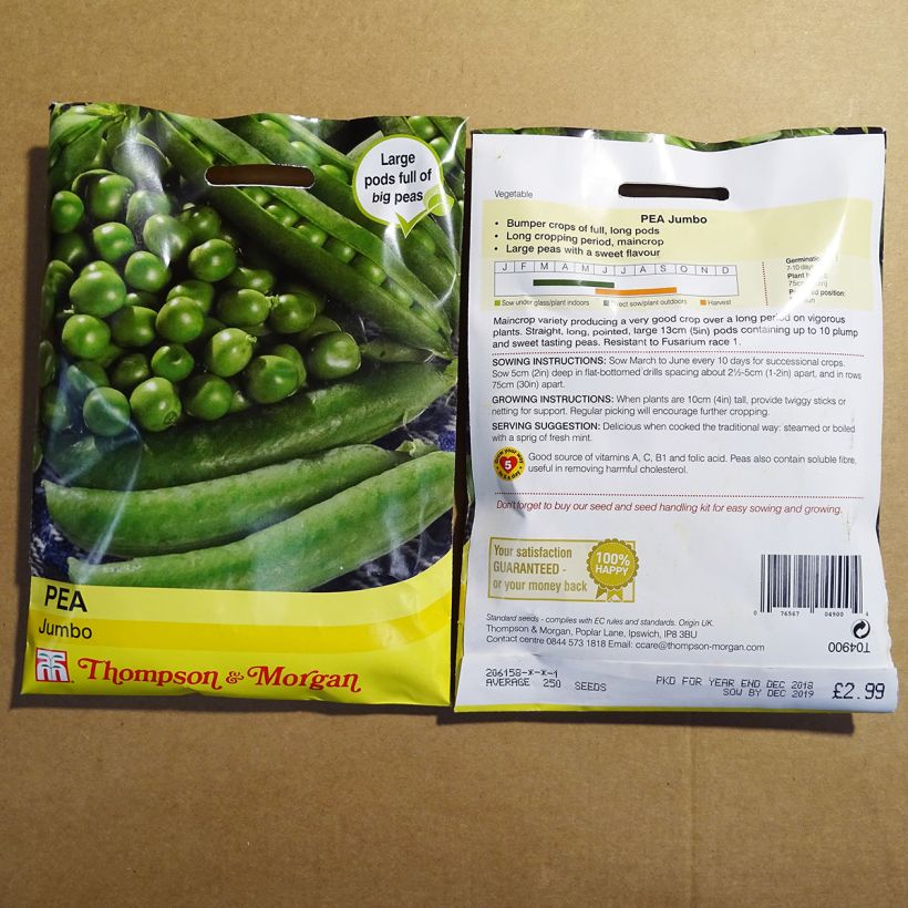Example of Jumbo Dwarf Pea specimen as delivered