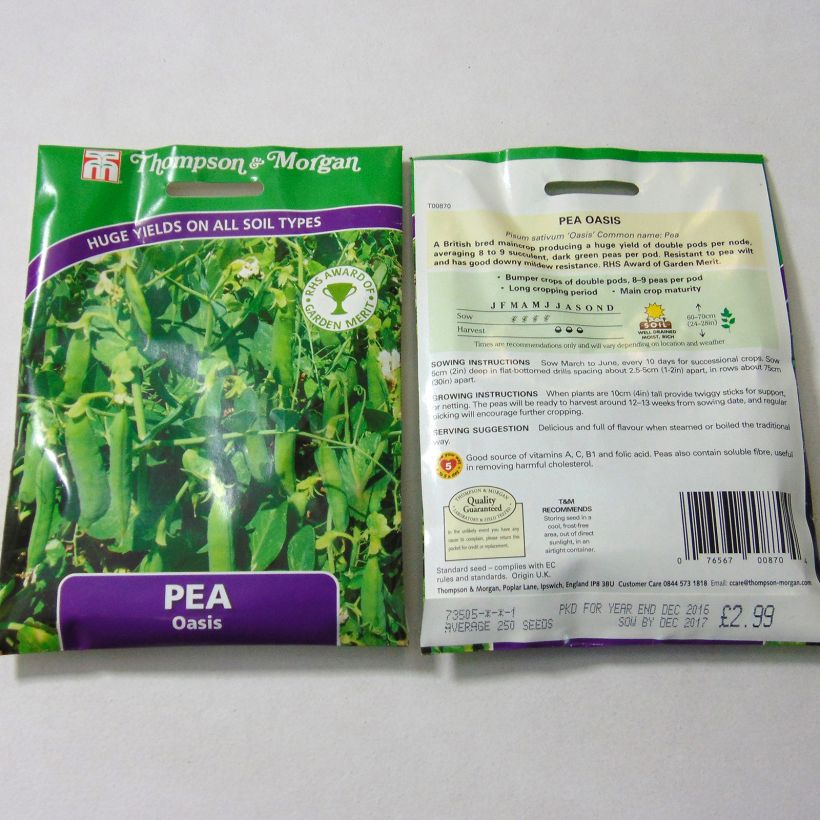 Example of Dwarf Late Season Oasis Pea specimen as delivered