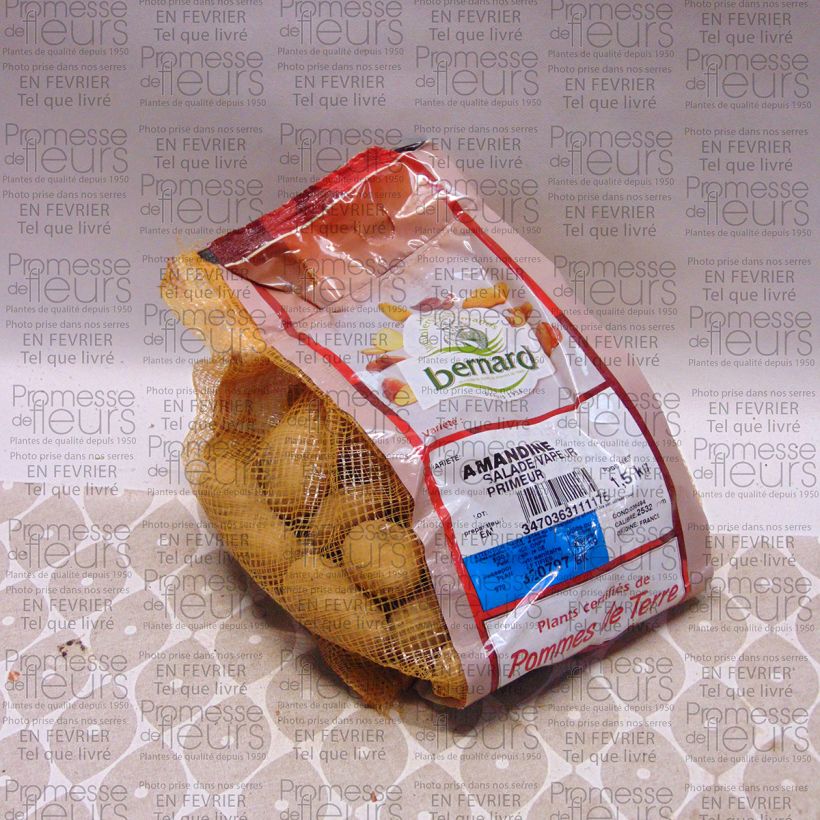 Example of Pommes de terre Amandine - Sac de 1,5kg specimen as delivered