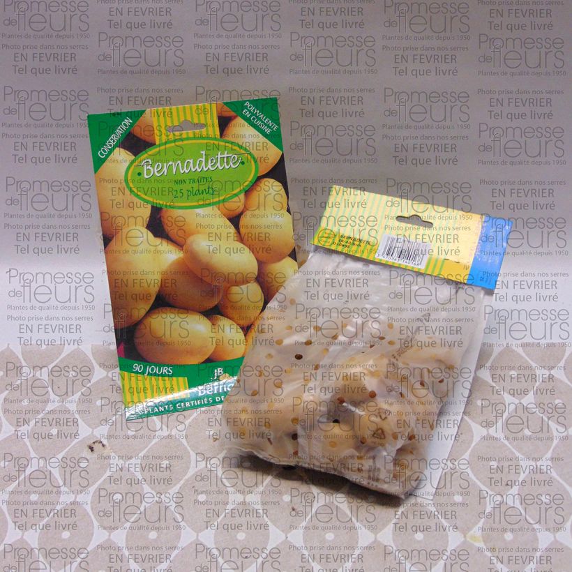Example of Potatoes Bernadette specimen as delivered