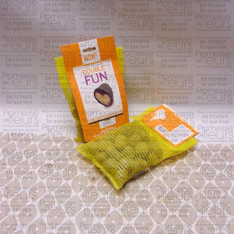 Example of Pommes de terres Double Fun Sac de 25 plants specimen as delivered