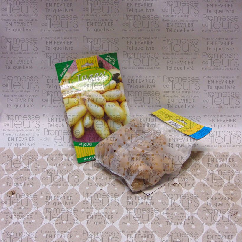 Example of Potatoes Jazzy specimen as delivered