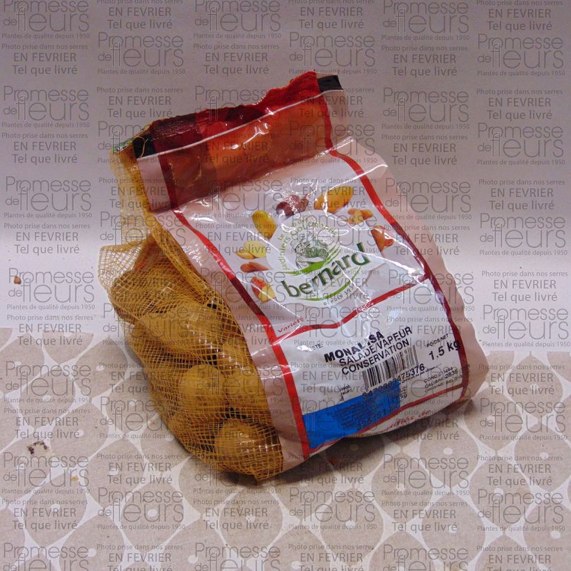 Example of Potatoes Mona Lisa specimen as delivered