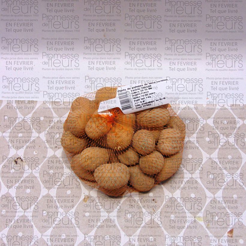 Example of Potatoes Tresor specimen as delivered
