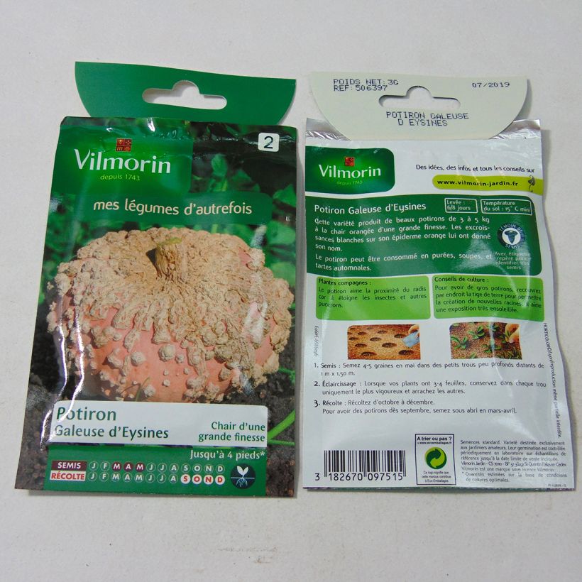 Example of Winter squash Galeuse dEysines - Vilmorin Seeds specimen as delivered