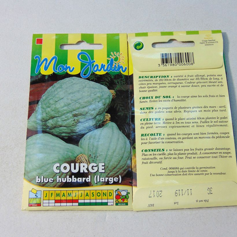 Example of Squash Large Blue Hubbard - Cucurbita maxima specimen as delivered