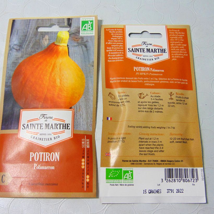 Example of Squash Potimarron - Ferme de Sainte Marthe Seeds specimen as delivered