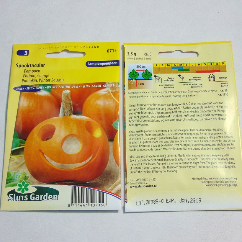 Example of Pumpkin Spooktacular specimen as delivered