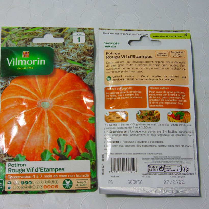Example of Pumpkin Rouge Vif dEtampes - Vilmorin Seeds specimen as delivered