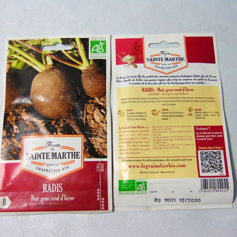 Example of Radish Noir Gros Long d'Hiver - Ferme de Sainte Marthe Seeds specimen as delivered