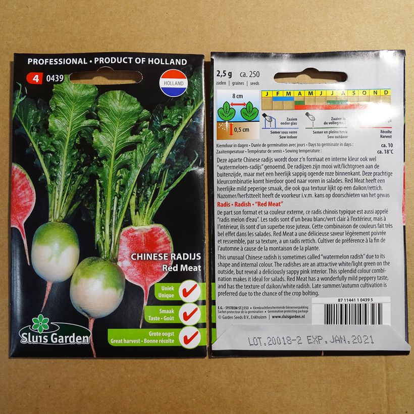 Example of Radish Red Meat - Watermelon Radish specimen as delivered