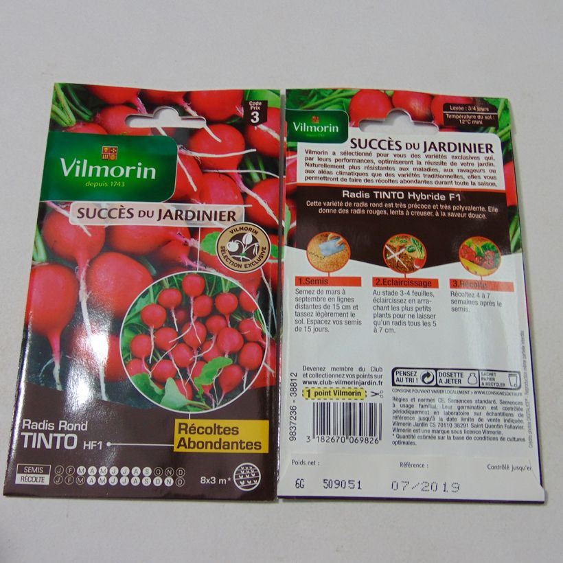 Example of Radish Tinto F1 - Vilmorin Seeds specimen as delivered