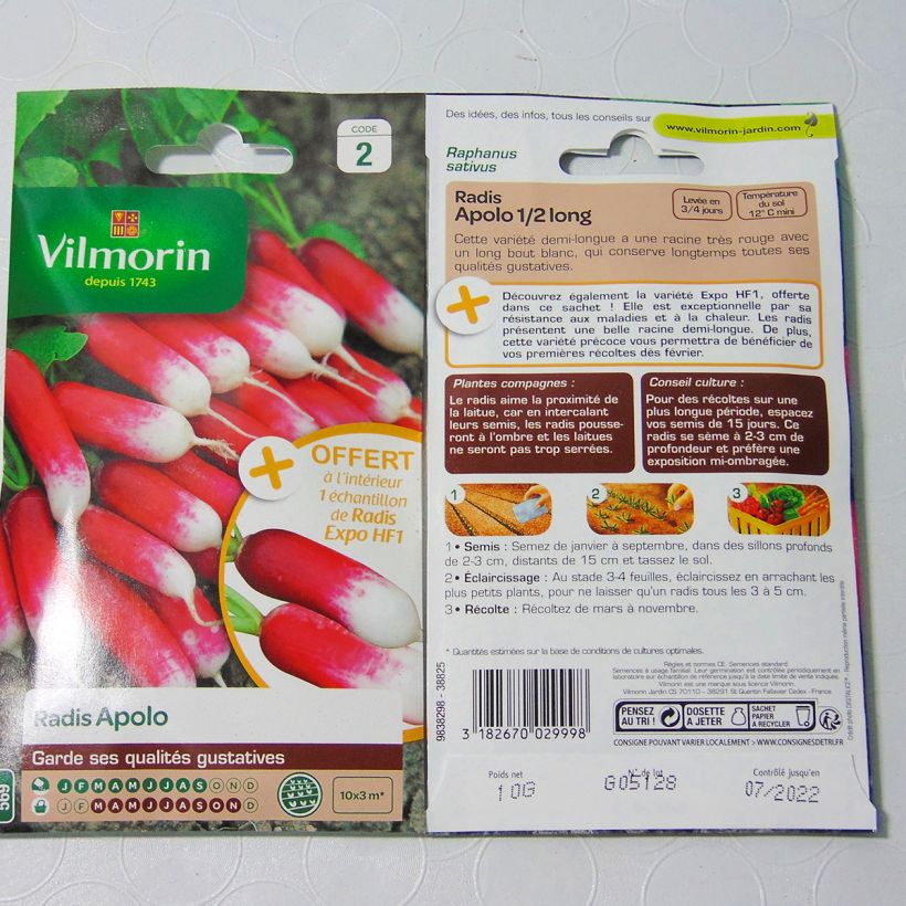 Example of Half-long Apolo Radish - Vilmorin seeds specimen as delivered