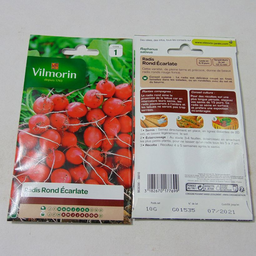 Example of Radish Scarlet Globe - Vilmorin Seeds specimen as delivered